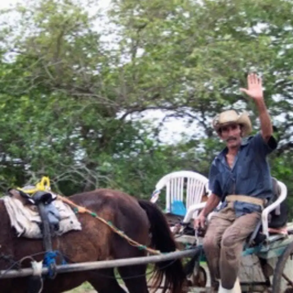 Cuban Picadillo con Moros y Cristianos, Pickled Red Onions and Simple Green Salad (includes complimentary surprise dessert)