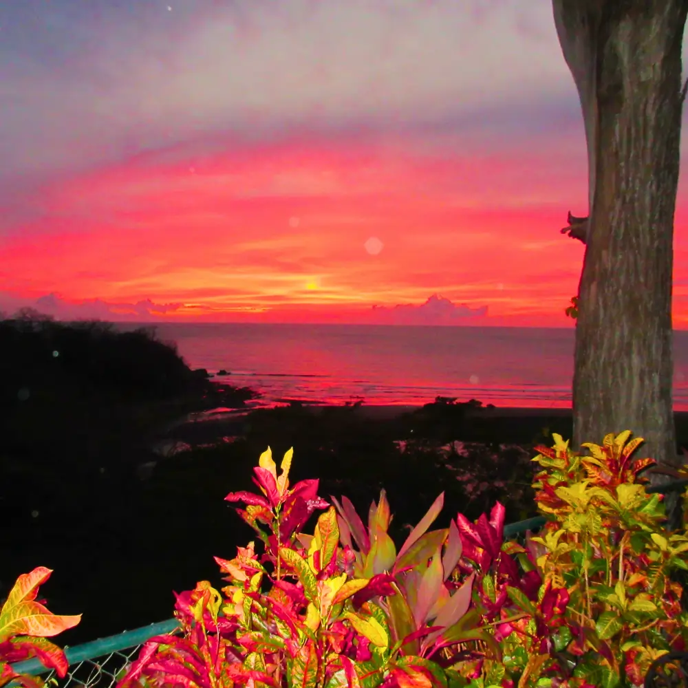 The Art of Casado: A Costa Rican Classic (includes complimentary surprise dessert)