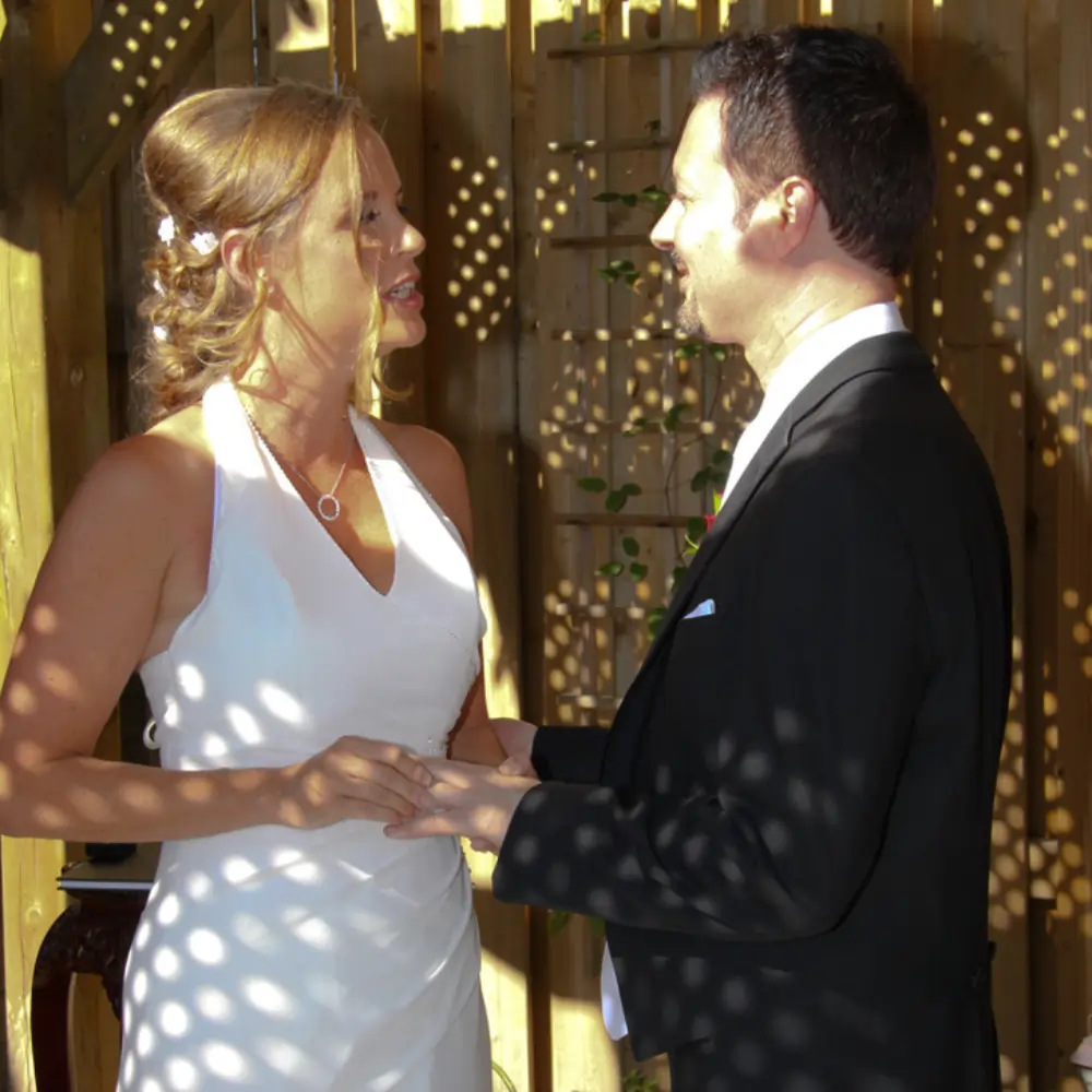 Grilled Chicken Shawarma, Toum, Hummus, Fresh Salad, Rice and Pita (includes surprise complimentary dessert)