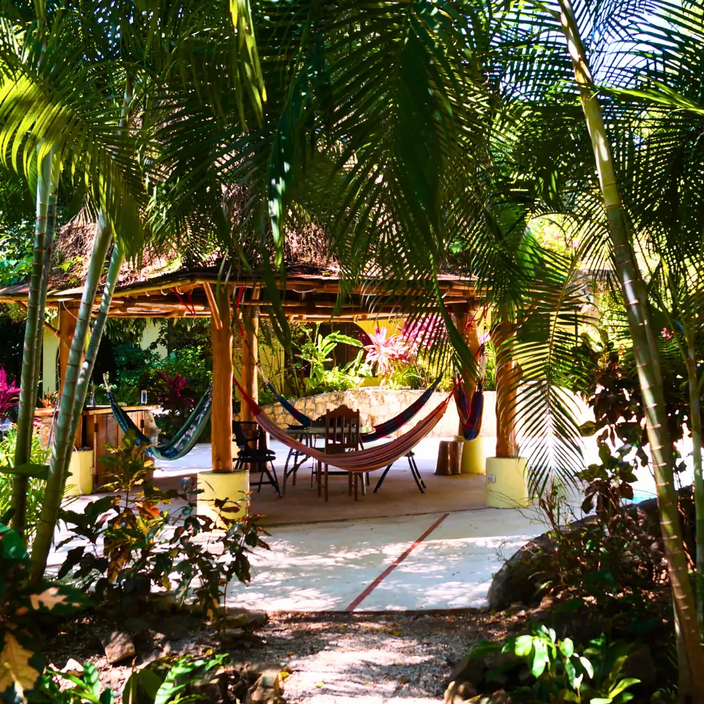 The Art of Casado: A Costa Rican Classic (includes complimentary surprise dessert)