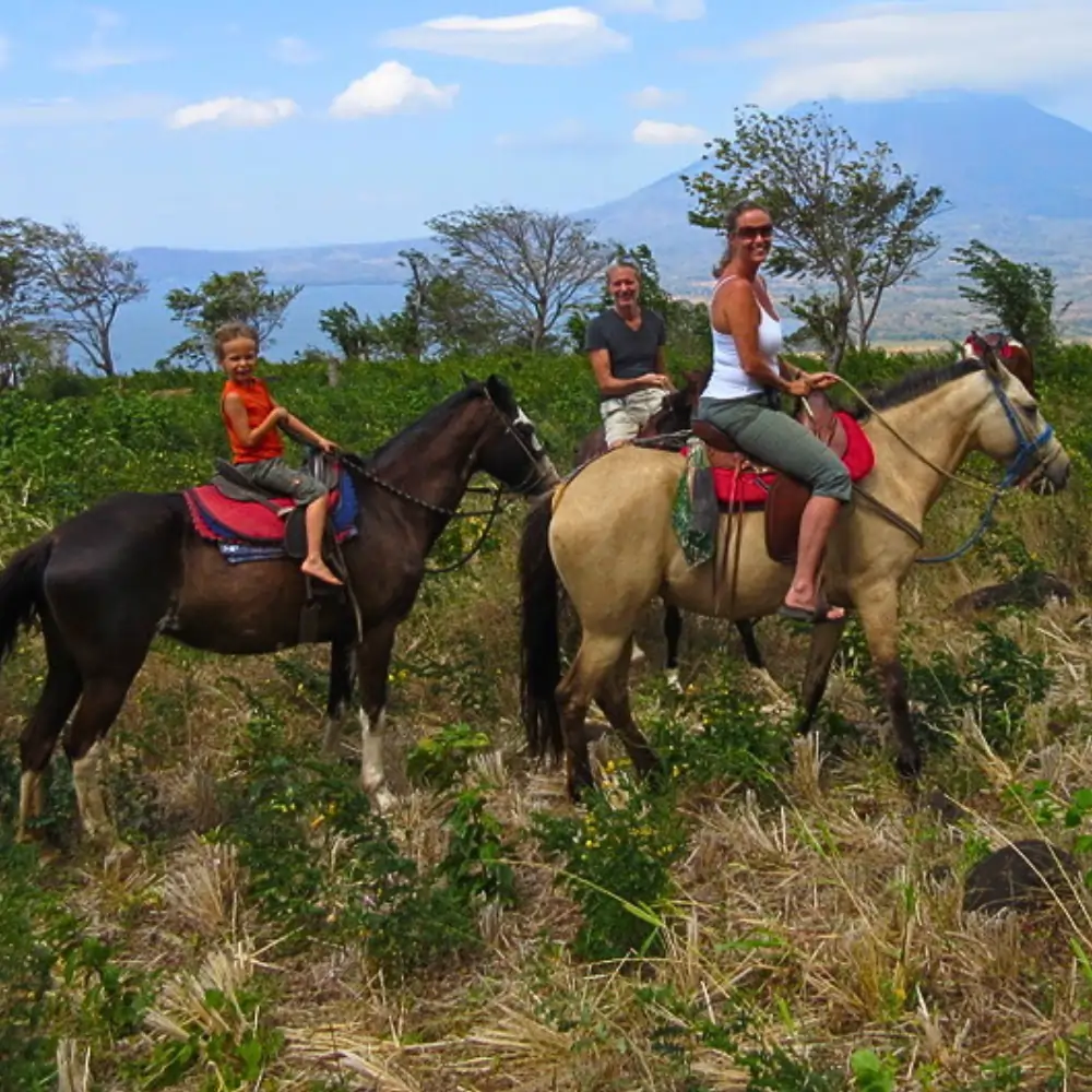 The Art of Casado: A Costa Rican Classic (includes complimentary surprise dessert)
