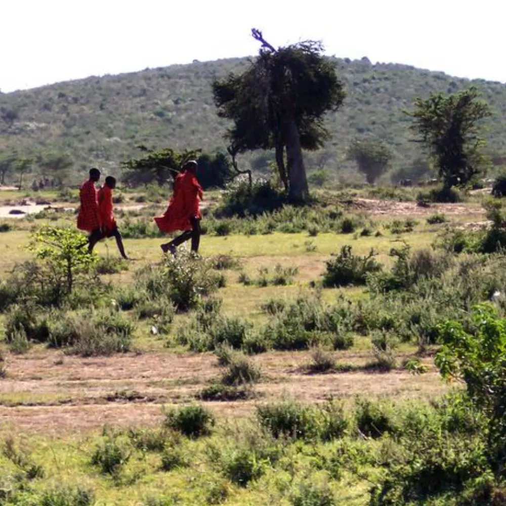 East African Chicken Curry with colorful condiments and steamed rice (includes complimentary surprise dessert)