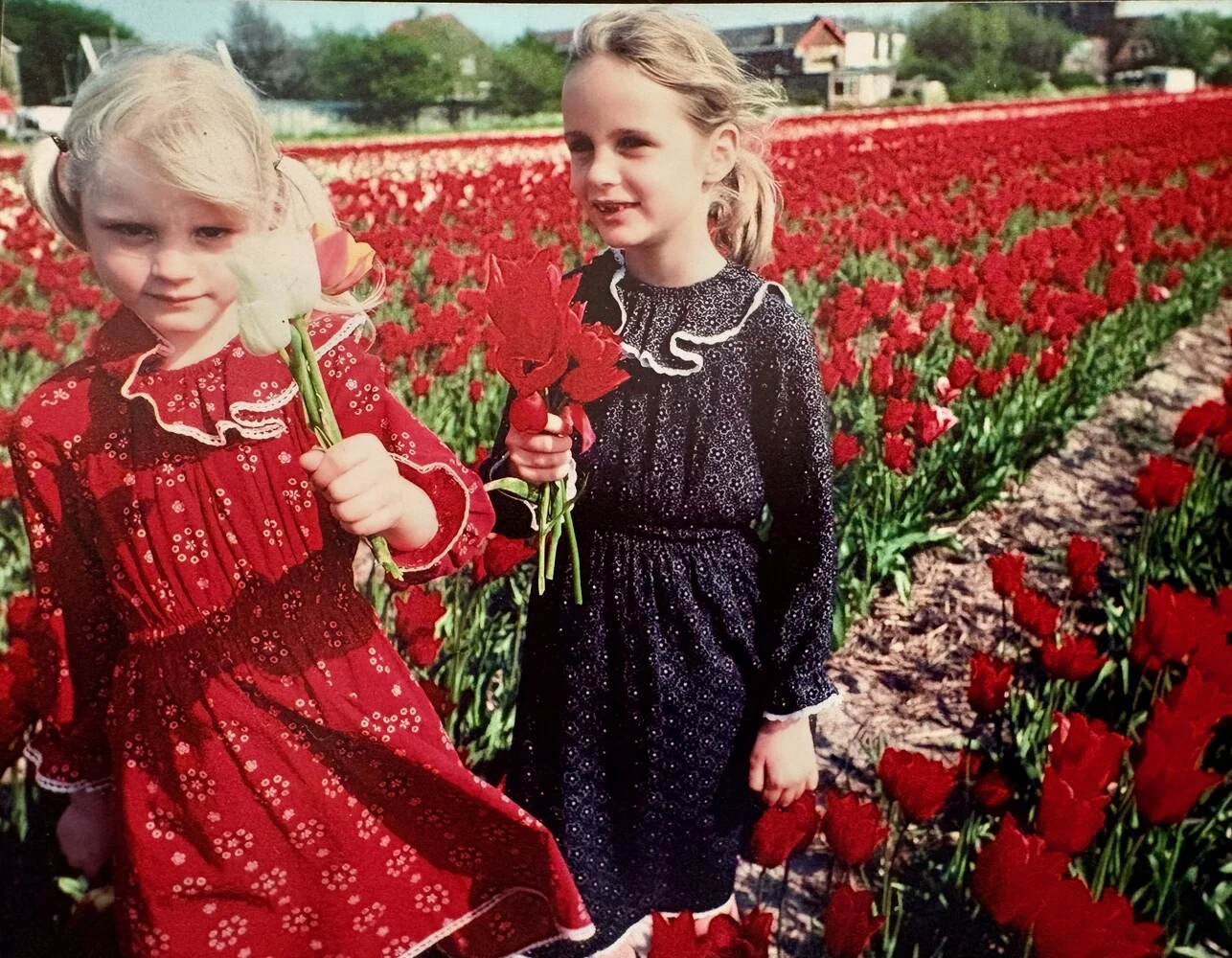 Dutch Brown Bean Soup with Cheese & Bacon Bun (Vegetarian Upon Request) - (includes complimentary surprise dessert)